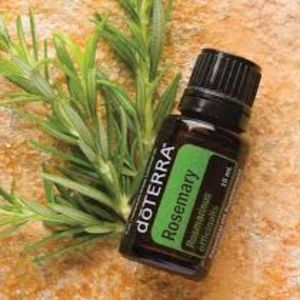 Doterra Rosemary  Rosmarinus officinalis